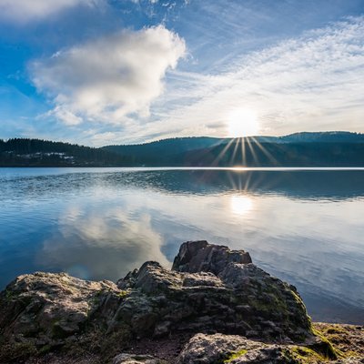Blick über das klare Wasser des Schluchsees auf die bewaldeten Ufer im Schwarzwald.