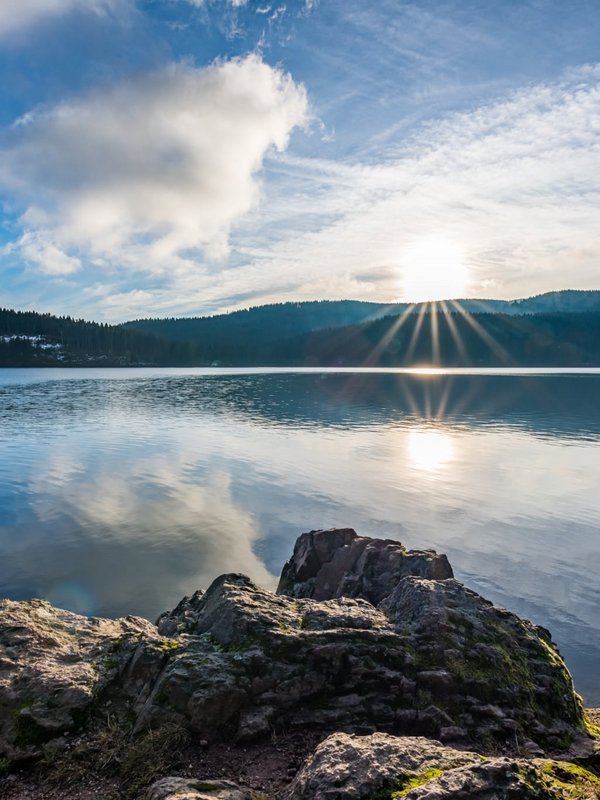 Blick über das klare Wasser des Schluchsees auf die bewaldeten Ufer im Schwarzwald.