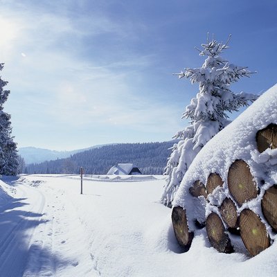 Idyllische Winterlandschaft bei Hinterzarten mit aufgeschichtetem Kaminholz unter einer Schneedecke.