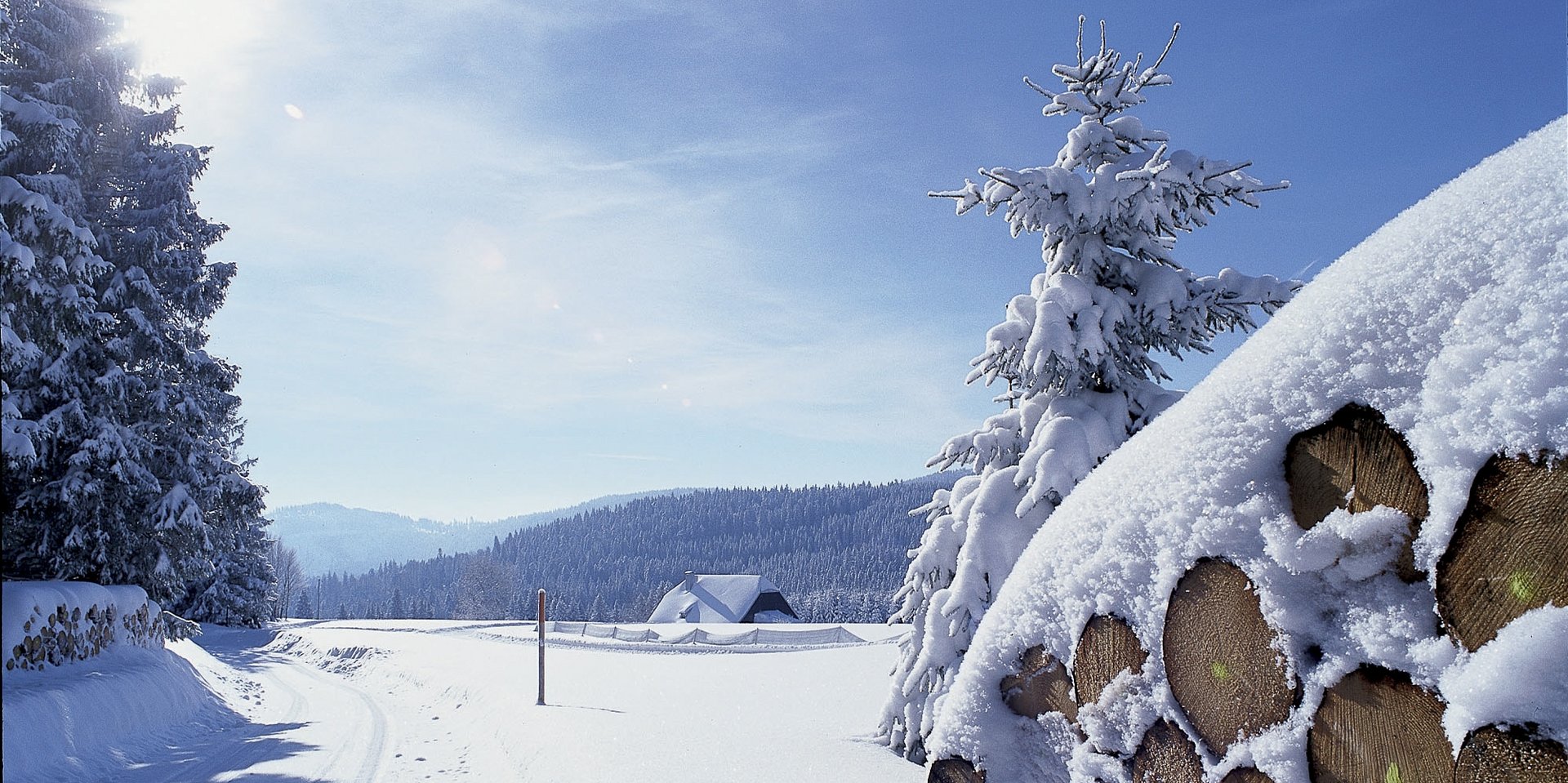 Idyllische Winterlandschaft bei Hinterzarten mit aufgeschichtetem Kaminholz unter einer Schneedecke.