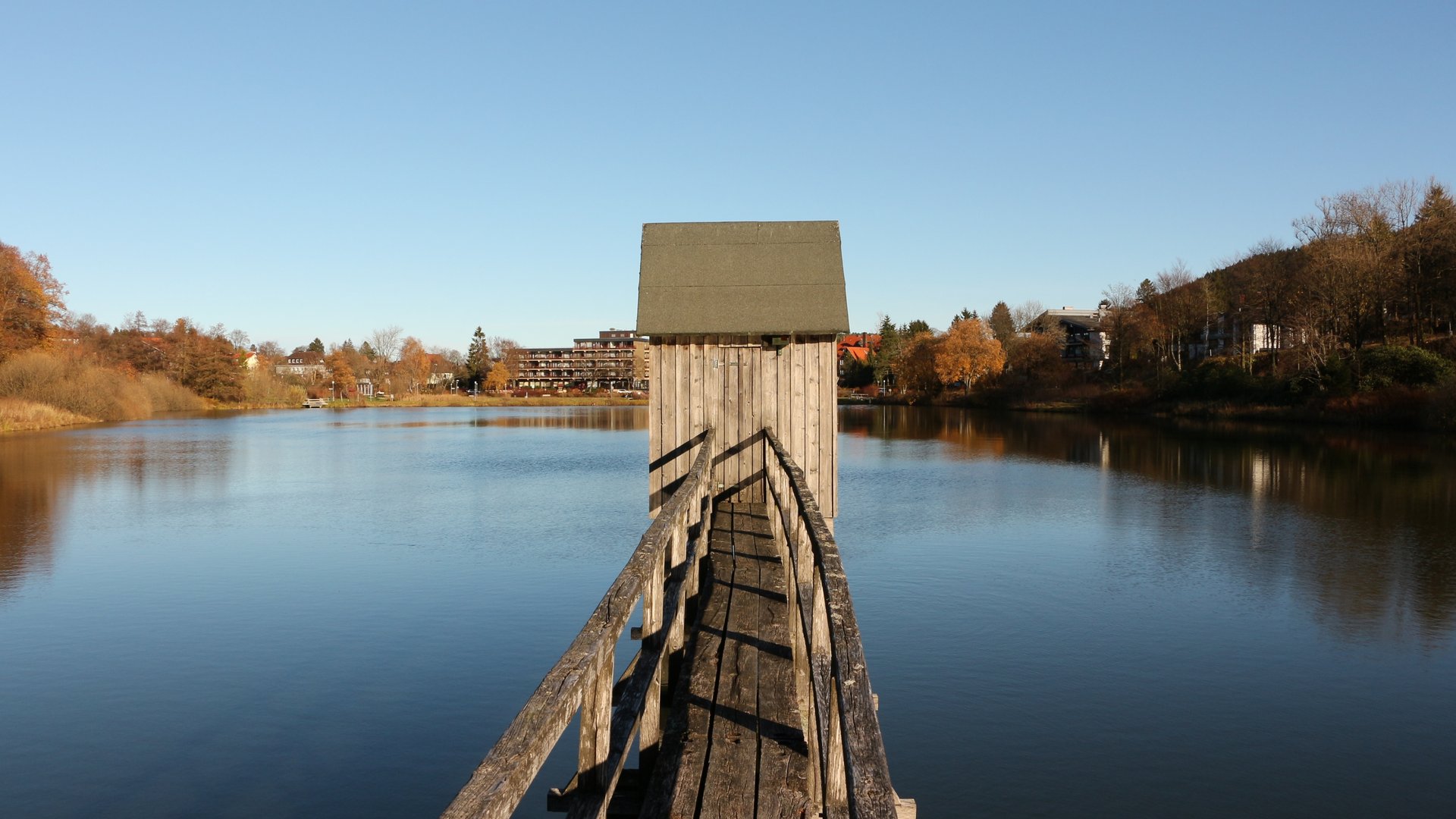 Ein Holzsteeg führt in einen See 