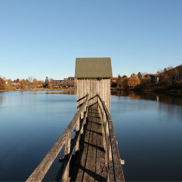 Ein Holzsteeg führt in einen See 