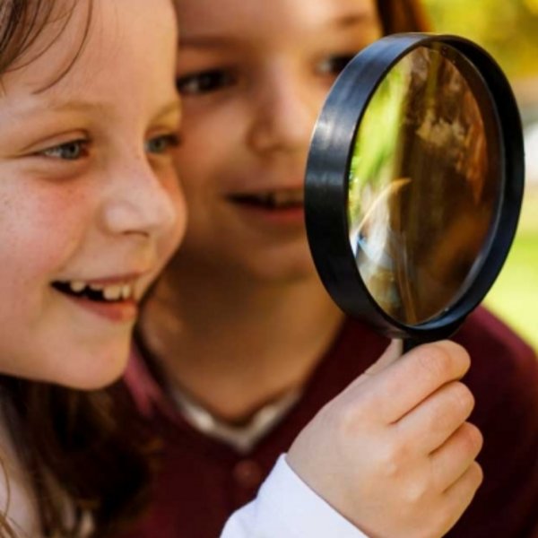 Zwei Mädchen untersuchen gemeinsam mit einer Lupe die Rinde eines alten Baumes im Wald.
