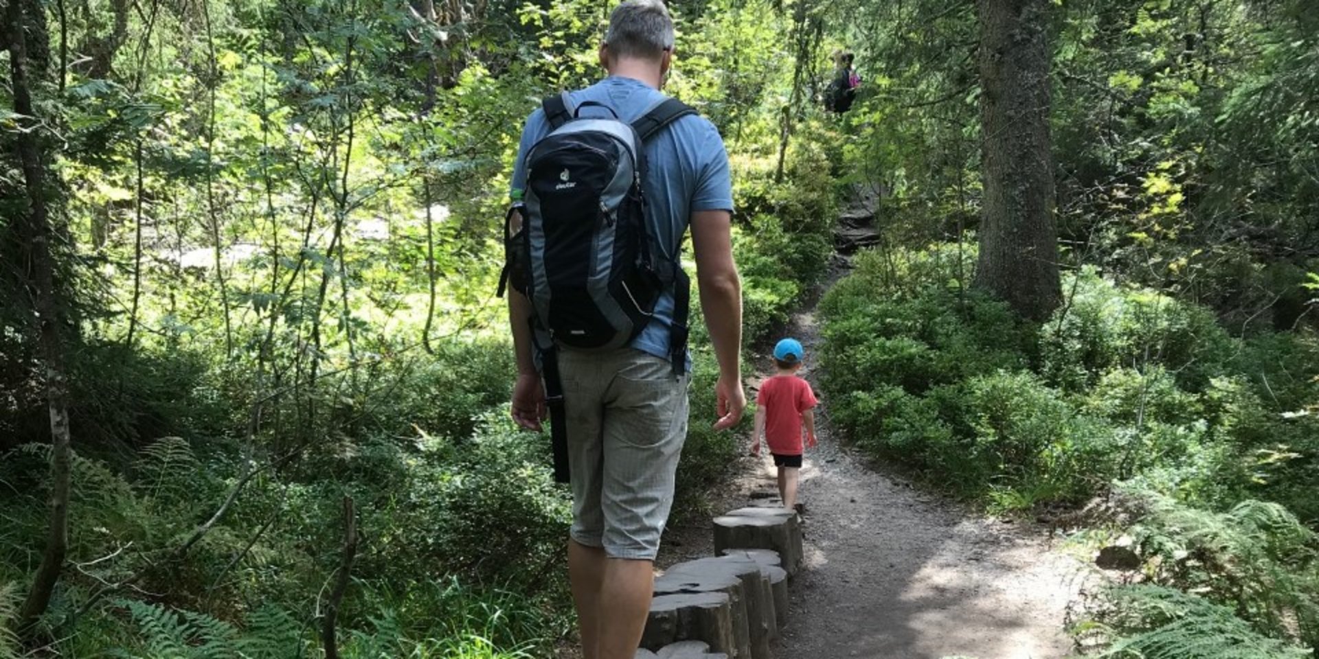 Ein Kind balanciert geschickt über Holzstämme auf einem Erlebnispfad im Schwarzwald.