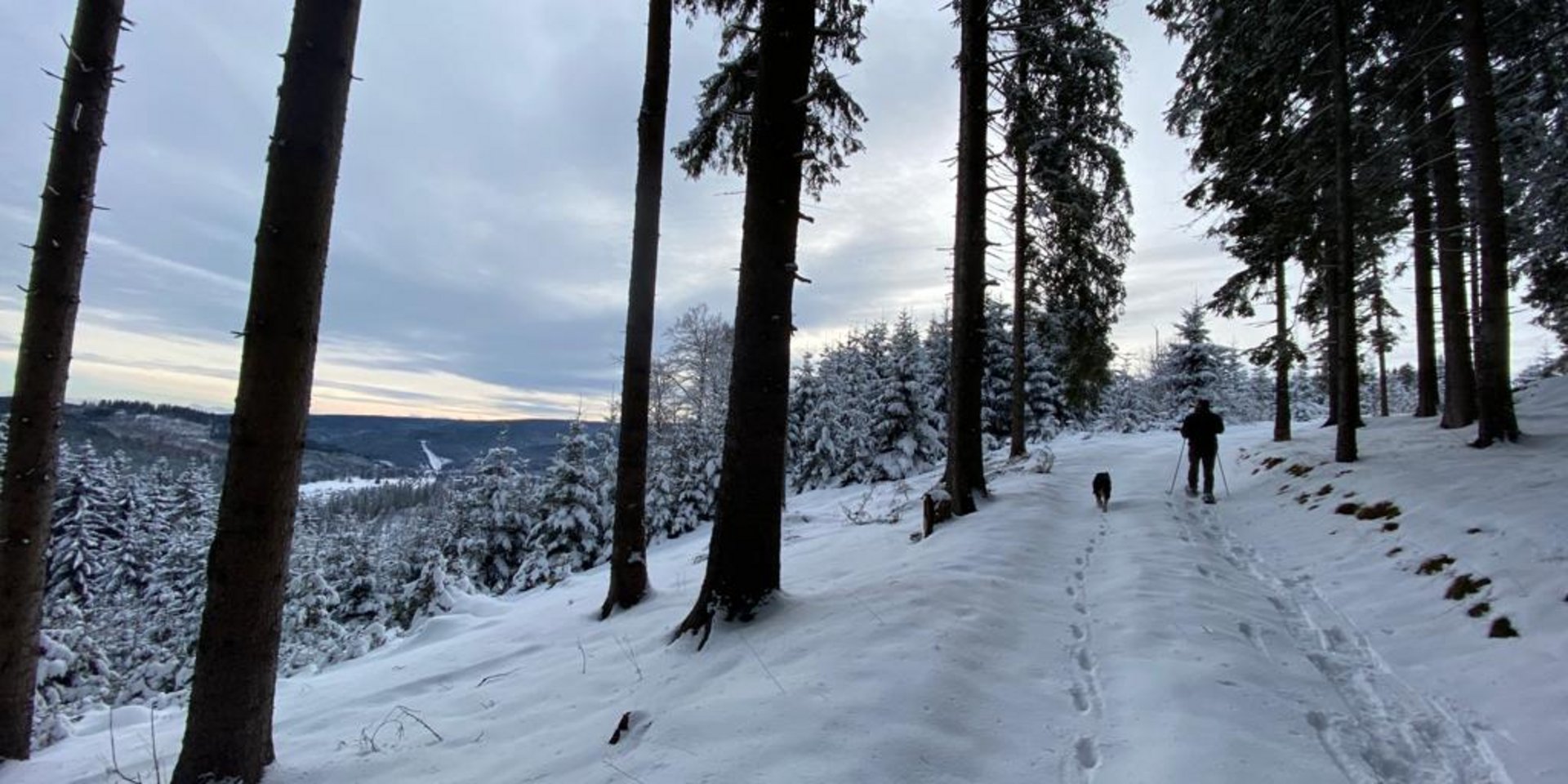 Ein verschneiter Waldweg mit hohen Tannen im tiefen Winter.