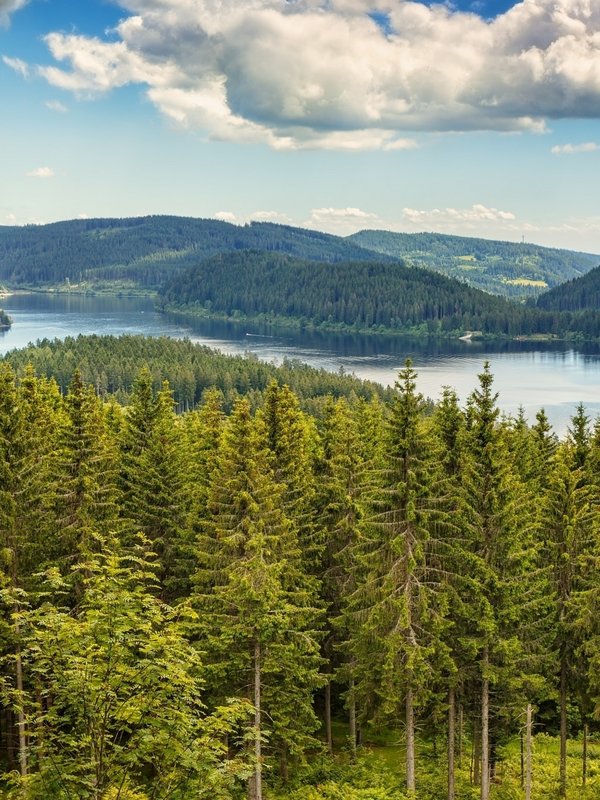 Weite Aussicht über die Schwarzwaldberge und den Schluchsee von einem erhöhten Aussichtspunkt.