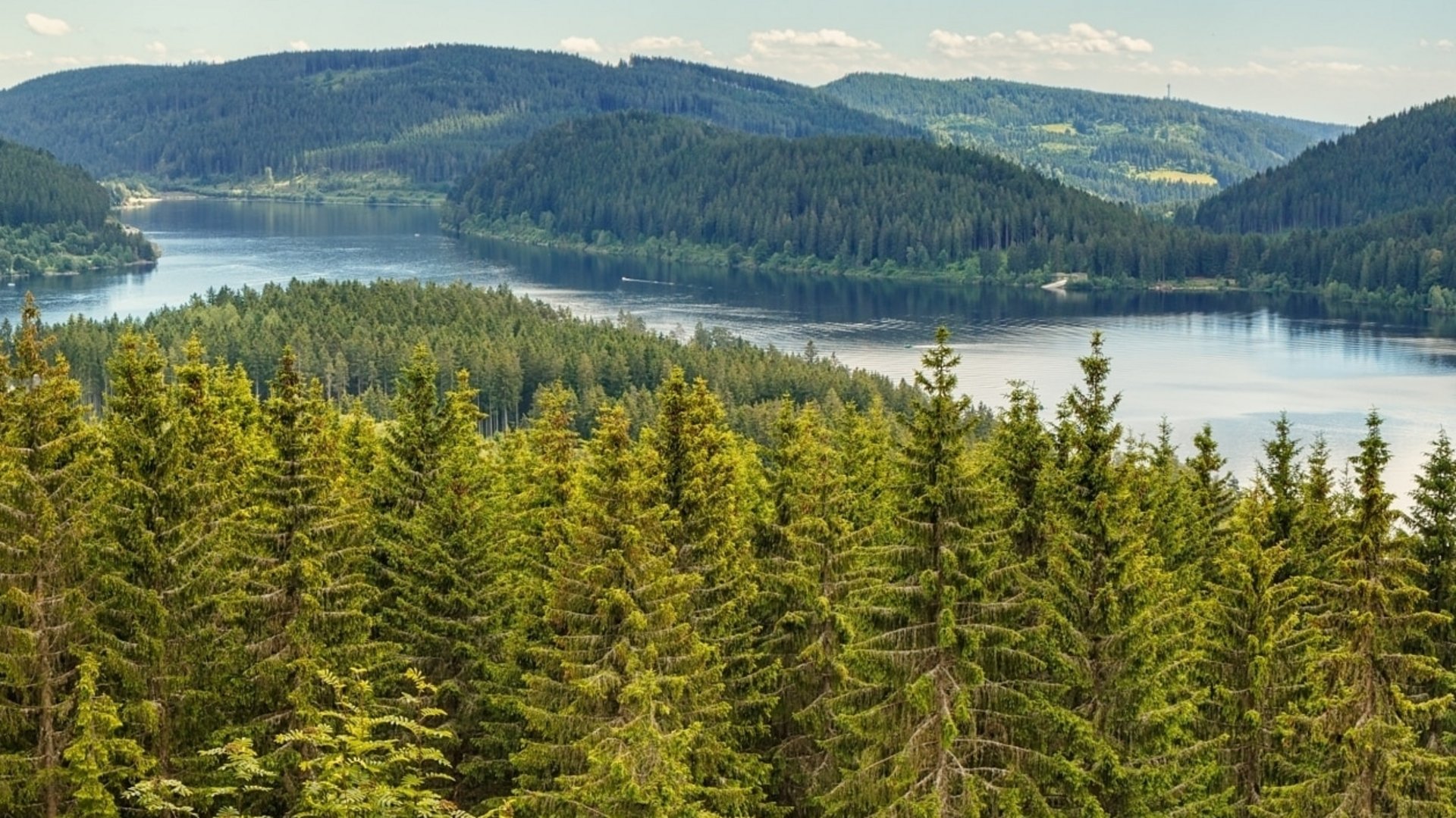 Weite Aussicht über die Schwarzwaldberge und den Schluchsee von einem erhöhten Aussichtspunkt.