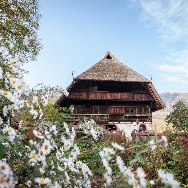 Ein altes Bauernhaus umgeben von Blumen