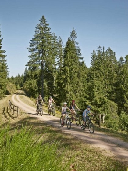 Eine Familie macht eine gemeinsame Fahrradtour auf dem sonnigen Bähnleradweg im Schwarzwald.
