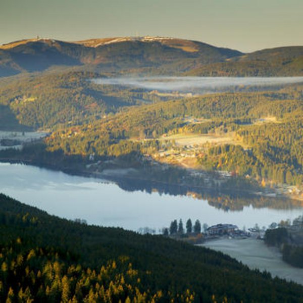 Der Hochfirst mit Blick auf den Titisee 