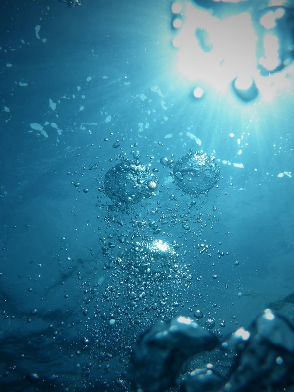Faszinierende Unterwasseraufnahme mit Lichtstrahlen, die durch die Wasseroberfläche in die Tiefe dringen.
