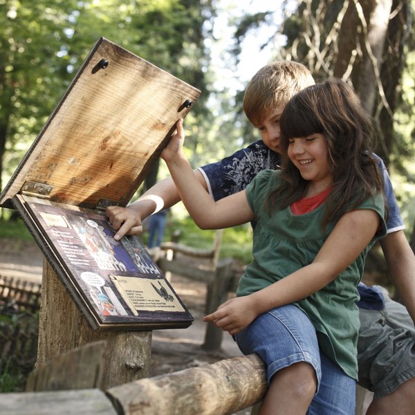 Kinder entdecken spielerisch die Natur auf dem Wichtelpfad im Hochschwarzwald.