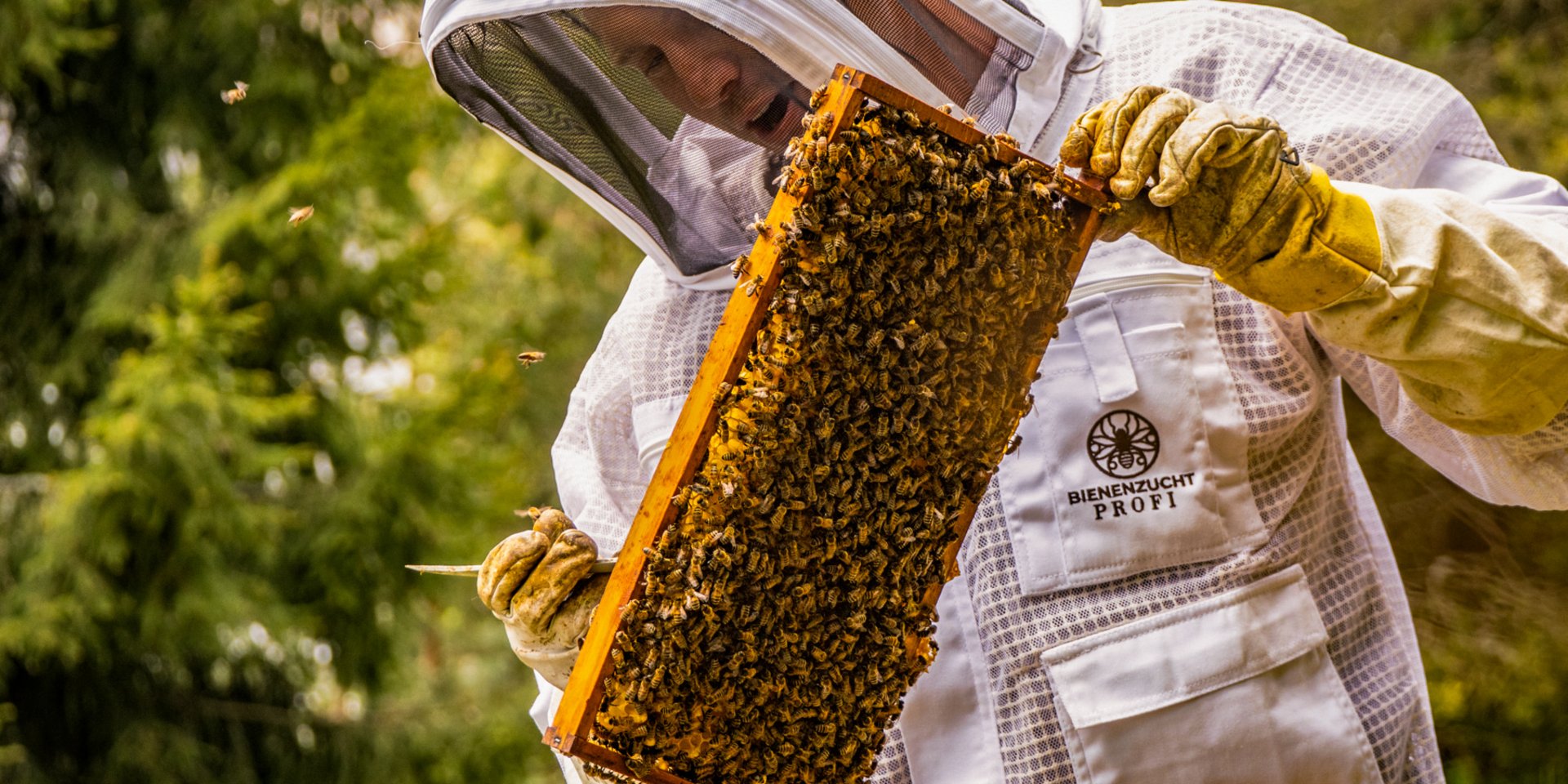 Ein Imker bei der Arbeit an den hoteleigenen Bienenstöcken des Hotels Vier Jahreszeiten am Schluchsee.