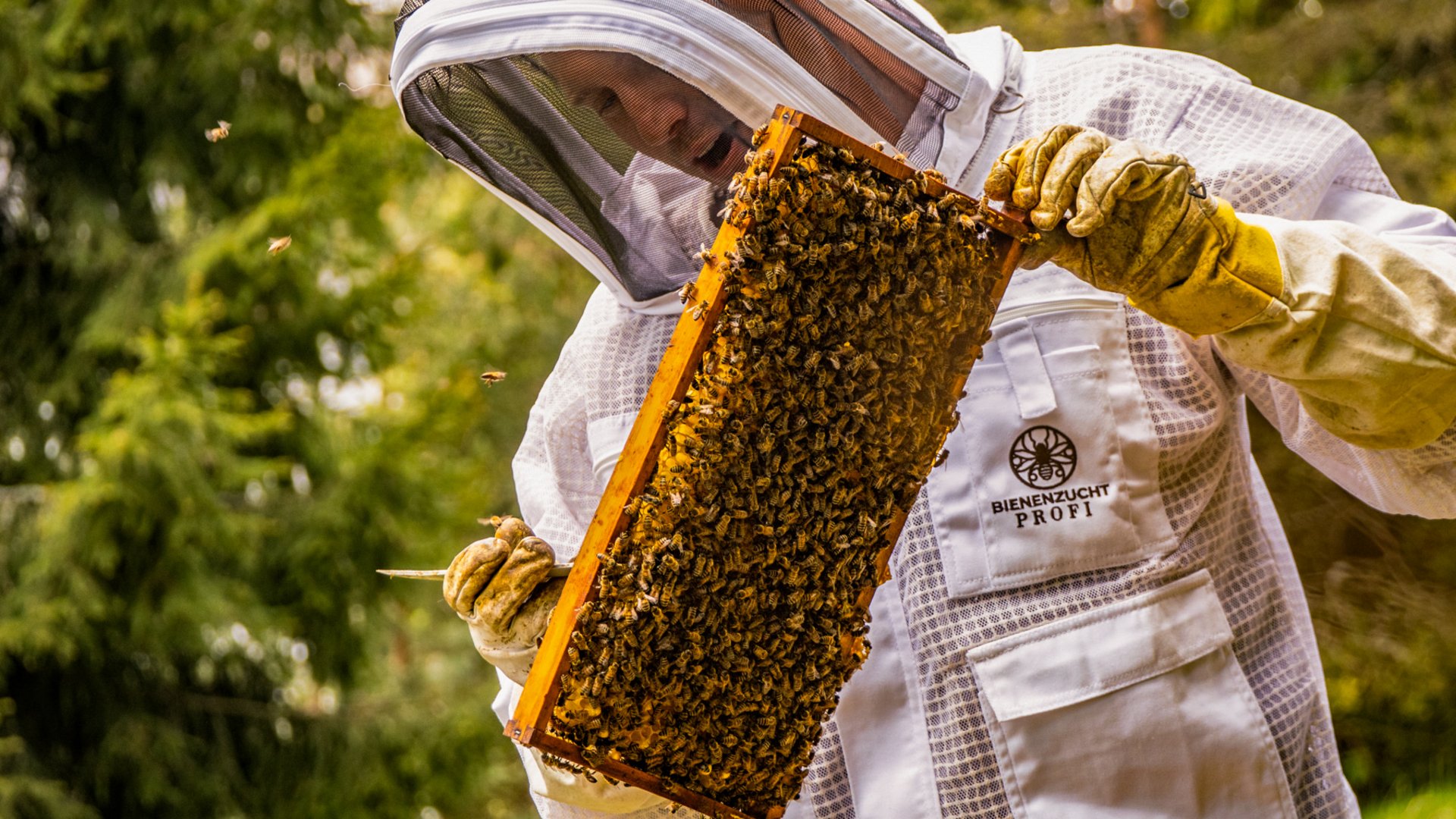 Ein Imker bei der Arbeit an den hoteleigenen Bienenstöcken des Hotels Vier Jahreszeiten am Schluchsee.