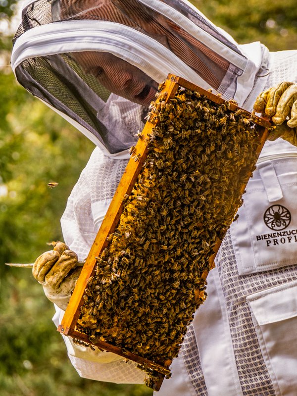 Ein Imker bei der Arbeit an den hoteleigenen Bienenstöcken des Hotels Vier Jahreszeiten am Schluchsee.