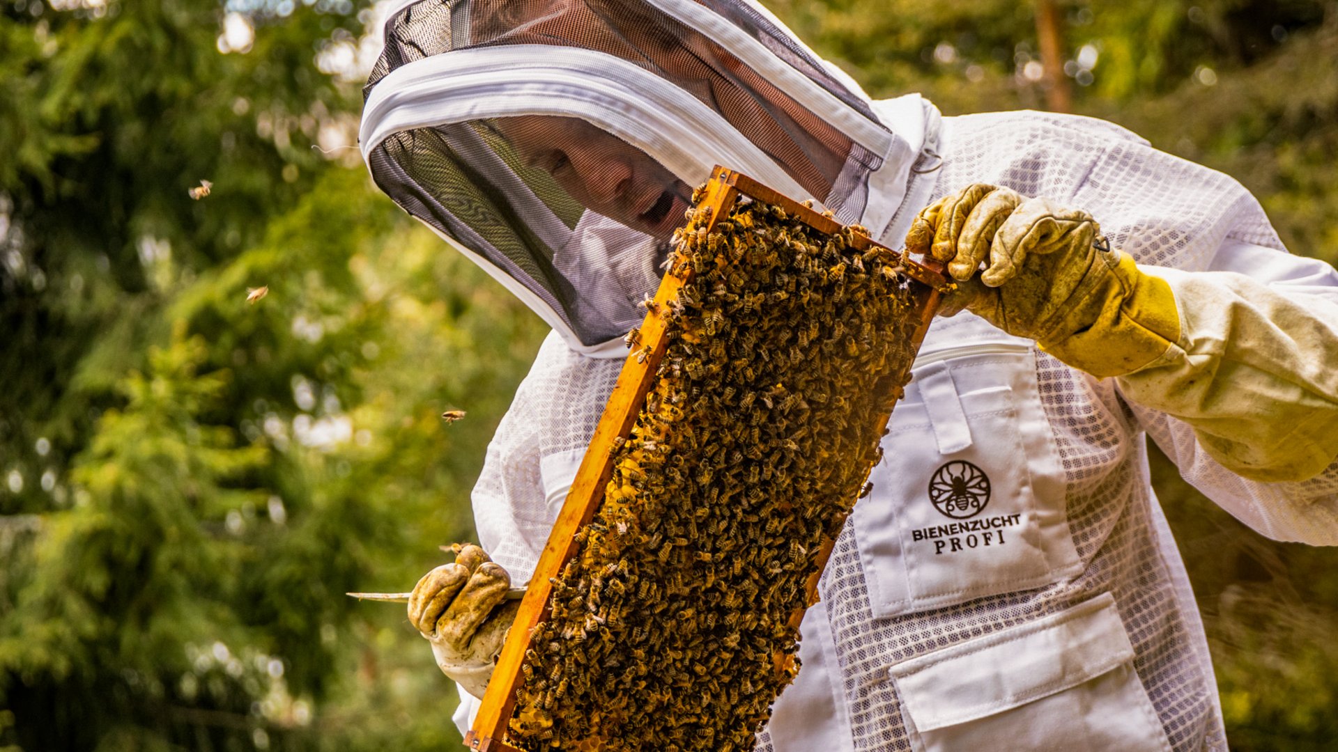 Ein Imker bei der Arbeit an den hoteleigenen Bienenstöcken des Hotels Vier Jahreszeiten am Schluchsee.