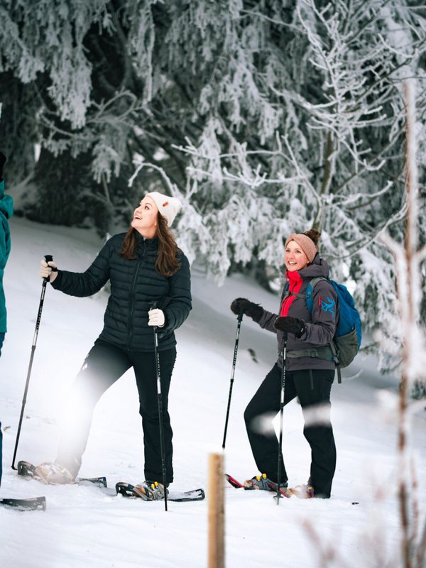 drei frauen beim schneeschuhwandern im wald