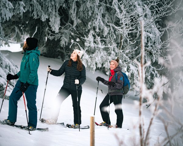 drei frauen beim schneeschuhwandern im wald