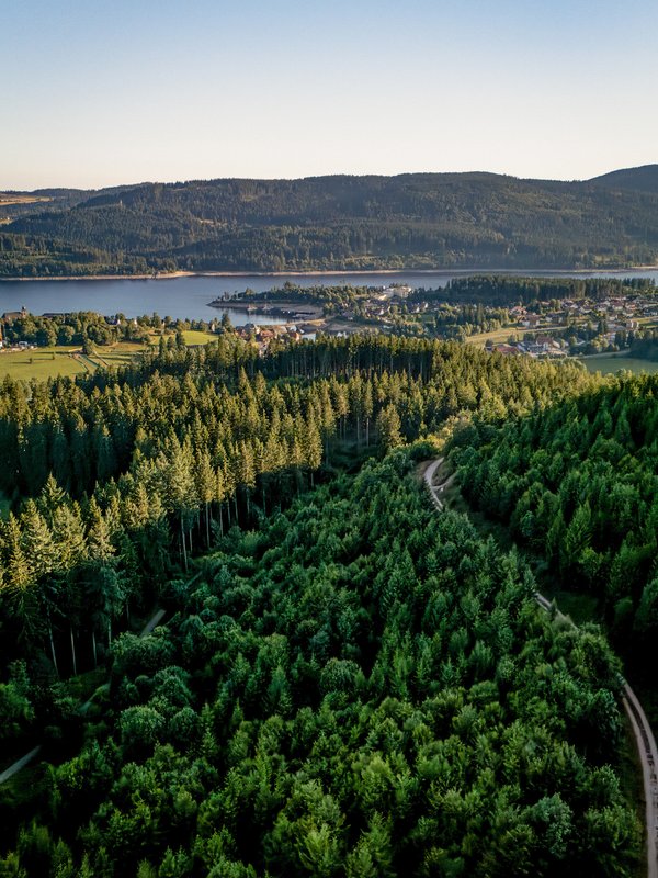 Sonnenuntergang über dem Waldmeer des Schwarzwalds vom Aussichtsturm.