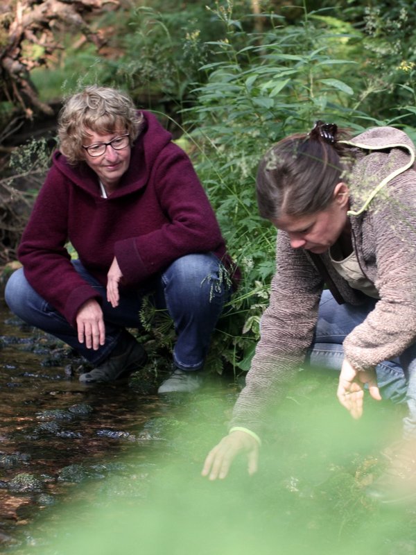 Zwei Personen untersuchen bei einer geführten Naturwanderung am Schluchsee die Pflanzenwelt am Bachlauf.