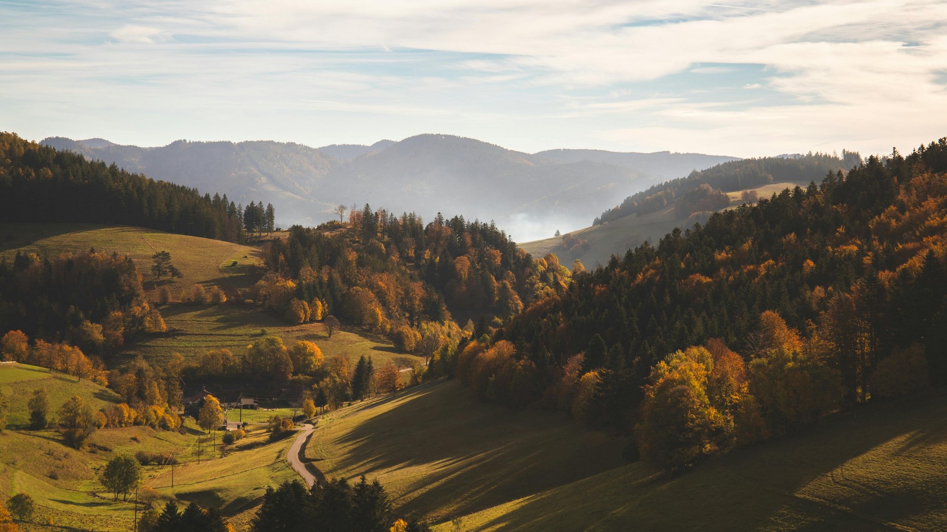 Schwarzwälder Tal mit Wiesen und Bäume