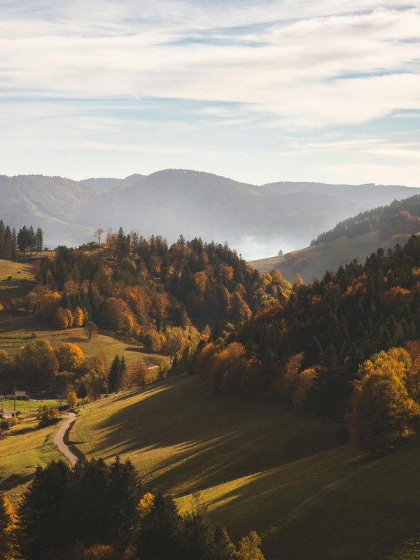 Schwarzwälder Tal mit Wiesen und Bäume