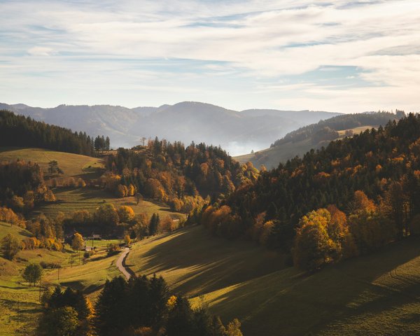Schwarzwälder Tal mit Wiesen und Bäume