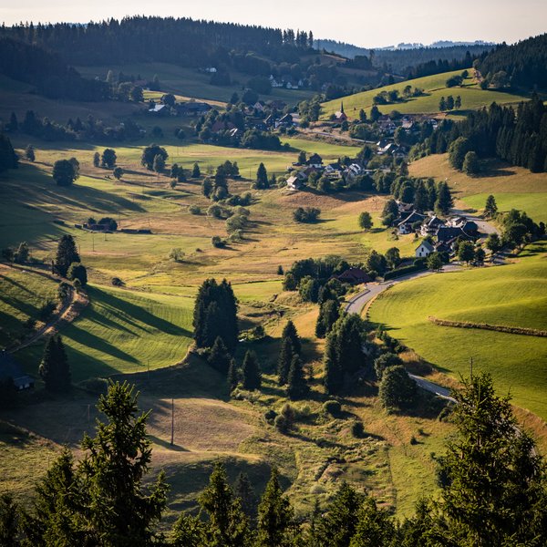 Panorama-Aussicht über ein grünes Tal im Schwarzwald mit verstreuten Bauernhöfen.
