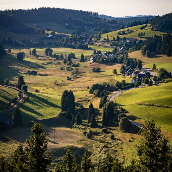 Panorama-Aussicht über ein grünes Tal im Schwarzwald mit verstreuten Bauernhöfen.