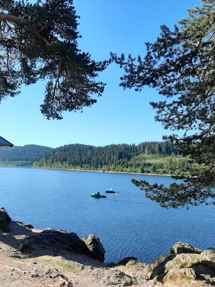 Idyllischer Ausblick von einer Holzhütte auf den Schluchsee im Schwarzwald.