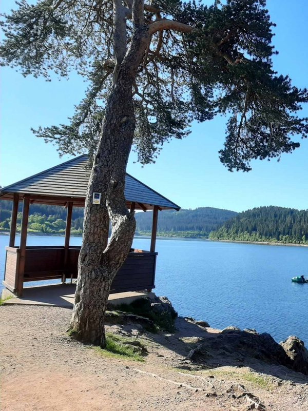 Idyllischer Ausblick von einer Holzhütte auf den Schluchsee im Schwarzwald.