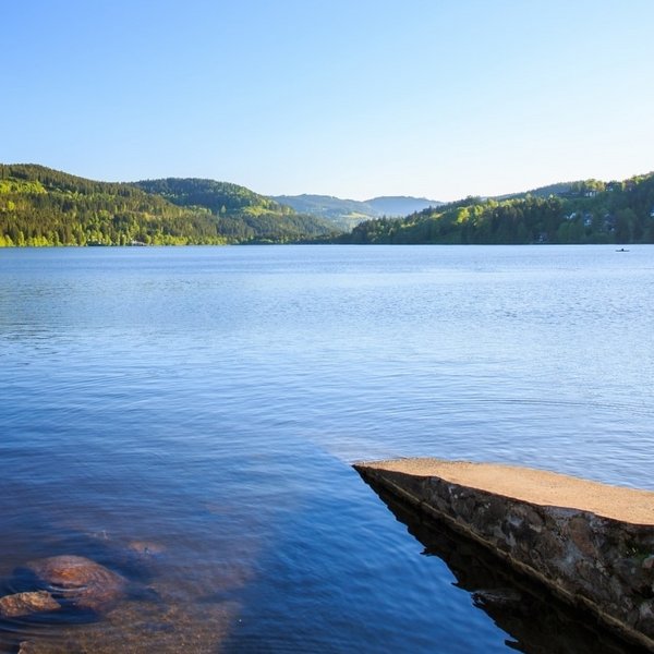 Blick über den Titisee im Schwarzwald mit Ausflugsbooten am Ufersteg.