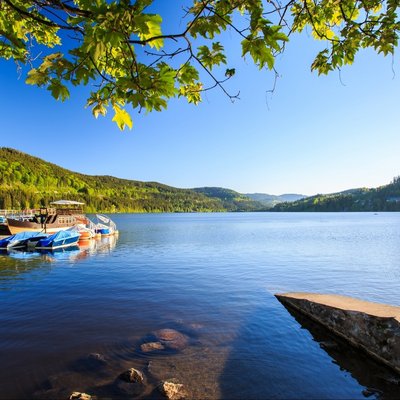 Blick über den Titisee im Schwarzwald mit Ausflugsbooten am Ufersteg.