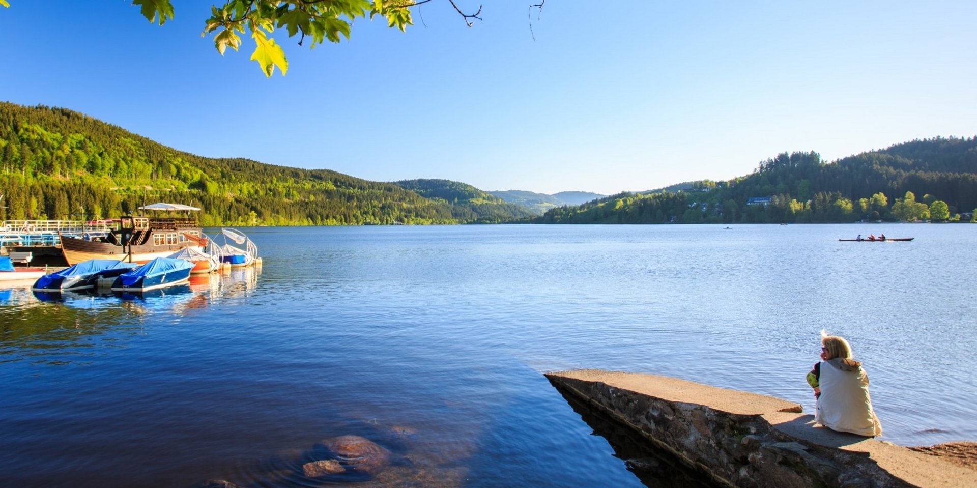 Blick über den Titisee im Schwarzwald mit Ausflugsbooten am Ufersteg.
