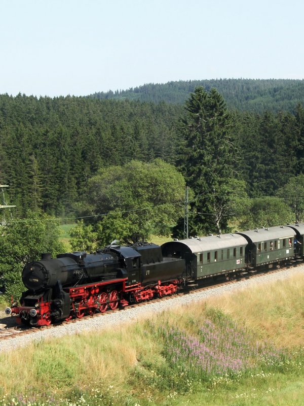 Die historische Dampflokomotive fährt durch die idyllische Schwarzwaldlandschaft am Schluchsee.