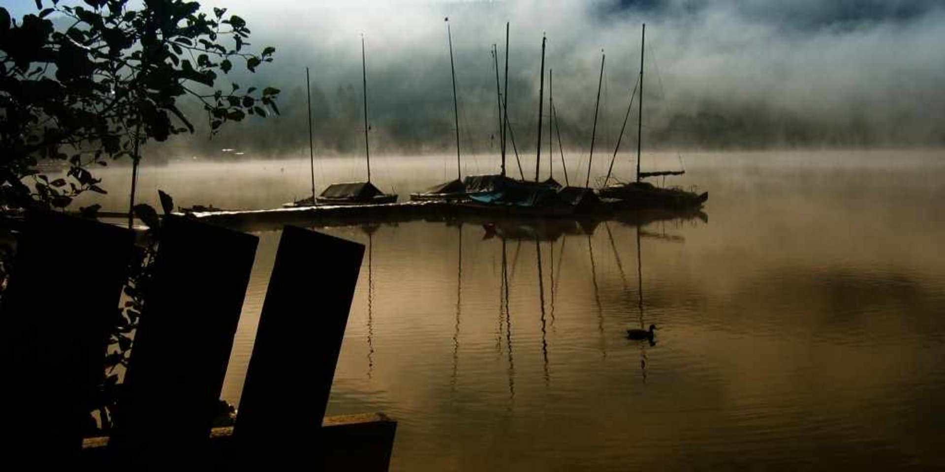 Blick durch hölzerne Strukturen auf einen Steg am See im Schwarzwald bei Dunst.
