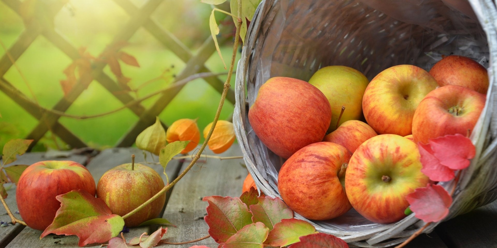 Ein umgekippter Korb mit frischen roten Äpfeln auf einer Holzoberfläche.
