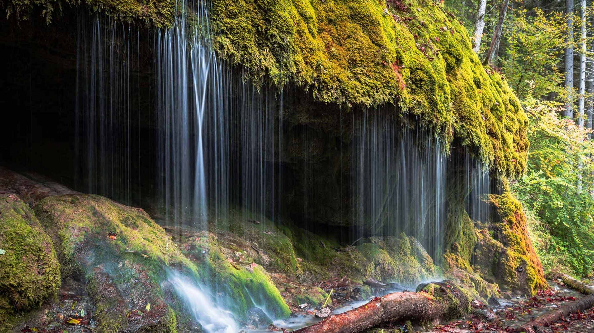 Moosbewachsene Felsen und kleine Kaskaden in der wildromantischen Wutachschlucht.