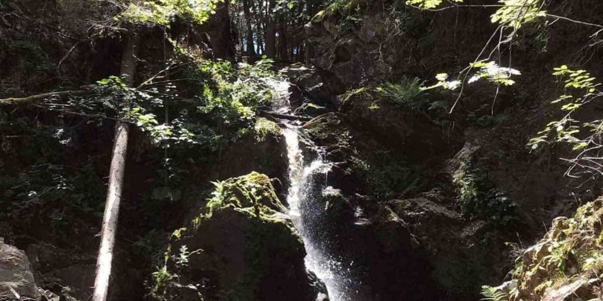Der idyllische Falkauer Wasserfall stürzt über bemooste Felsen mitten im Schwarzwaldwald.