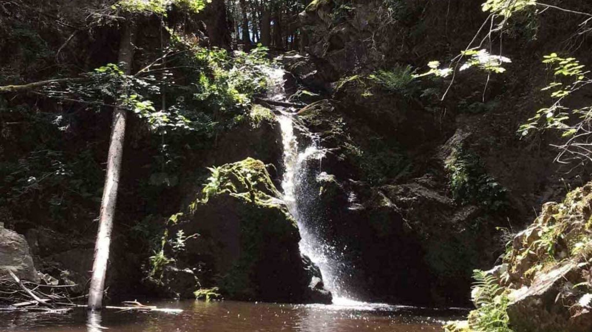 Der idyllische Falkauer Wasserfall stürzt über bemooste Felsen mitten im Schwarzwaldwald.