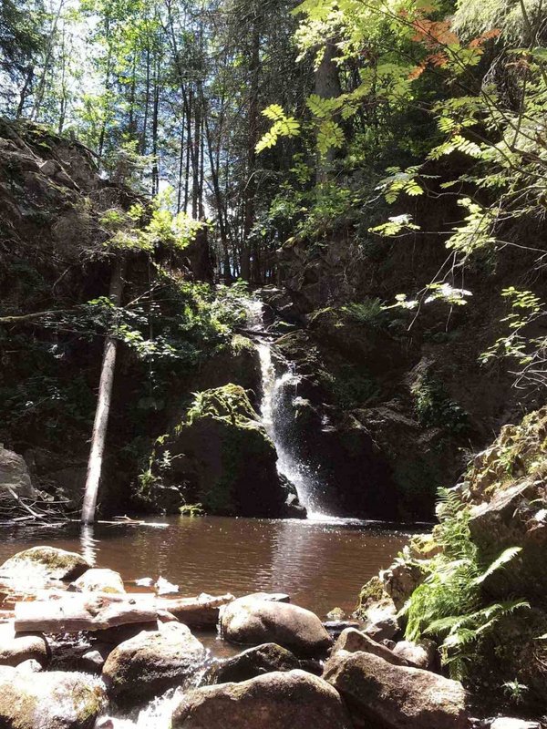 Der idyllische Falkauer Wasserfall stürzt über bemooste Felsen mitten im Schwarzwaldwald.