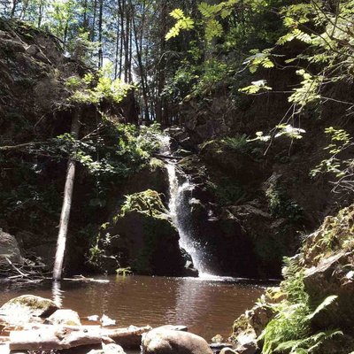 Der idyllische Falkauer Wasserfall stürzt über bemooste Felsen mitten im Schwarzwaldwald.