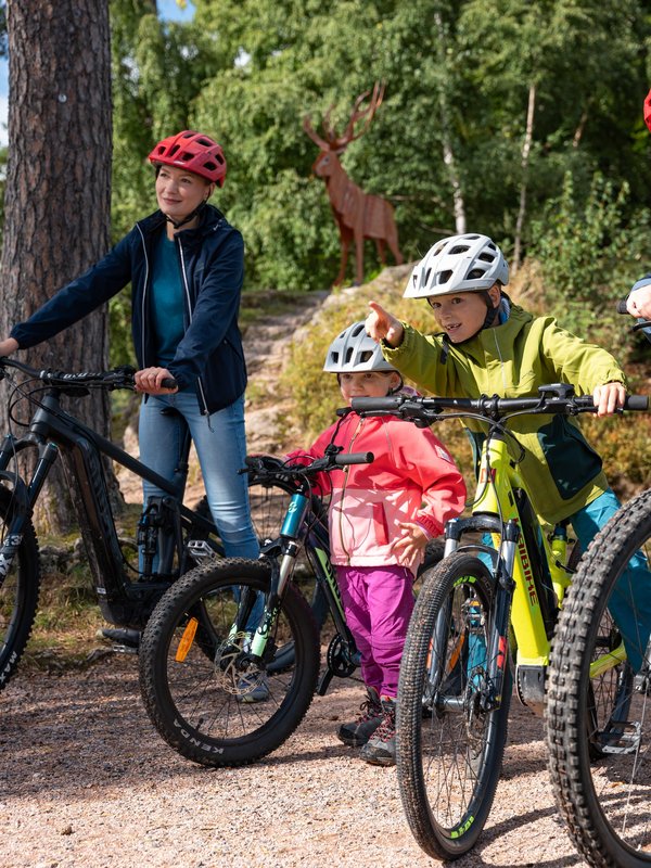 Kinder und Erwachsene beim gemeinsamen Mountainbiken im Waldgebiet am Schluchsee.