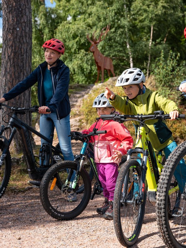 Kinder und Erwachsene beim gemeinsamen Mountainbiken im Waldgebiet am Schluchsee.