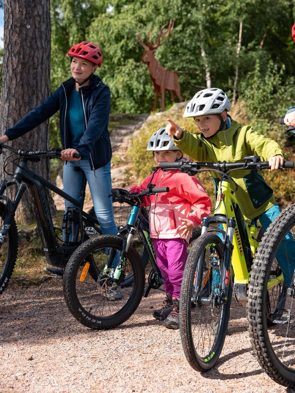 Kinder und Erwachsene beim gemeinsamen Mountainbiken im Waldgebiet am Schluchsee.
