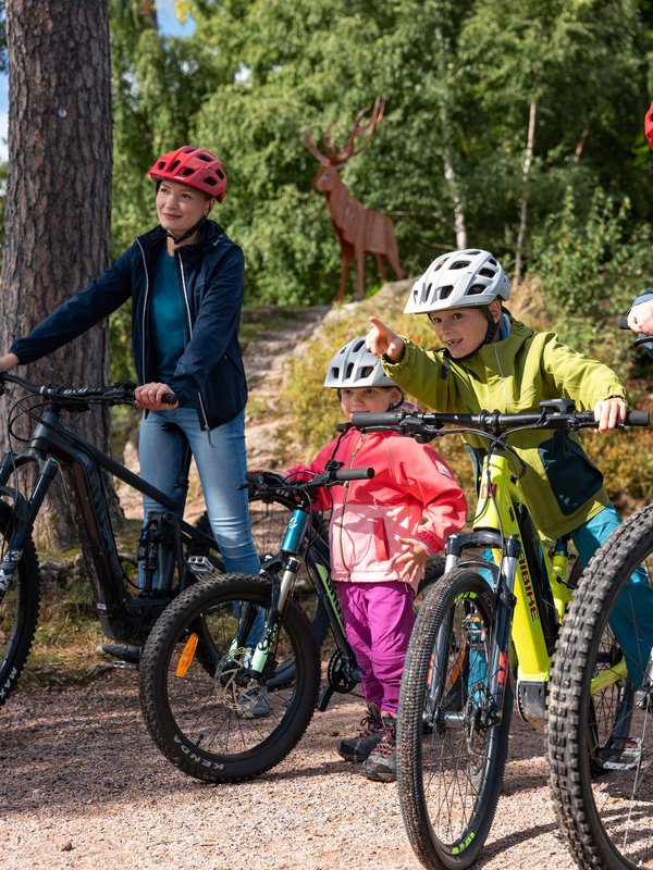 Kinder und Erwachsene beim gemeinsamen Mountainbiken im Waldgebiet am Schluchsee.