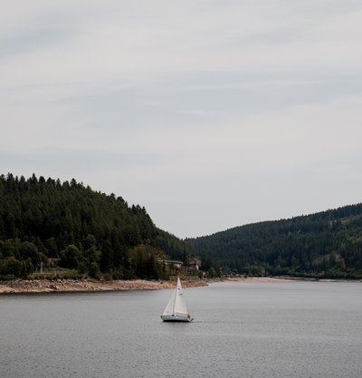 Boot auf Schluchsee umgeben von Wald