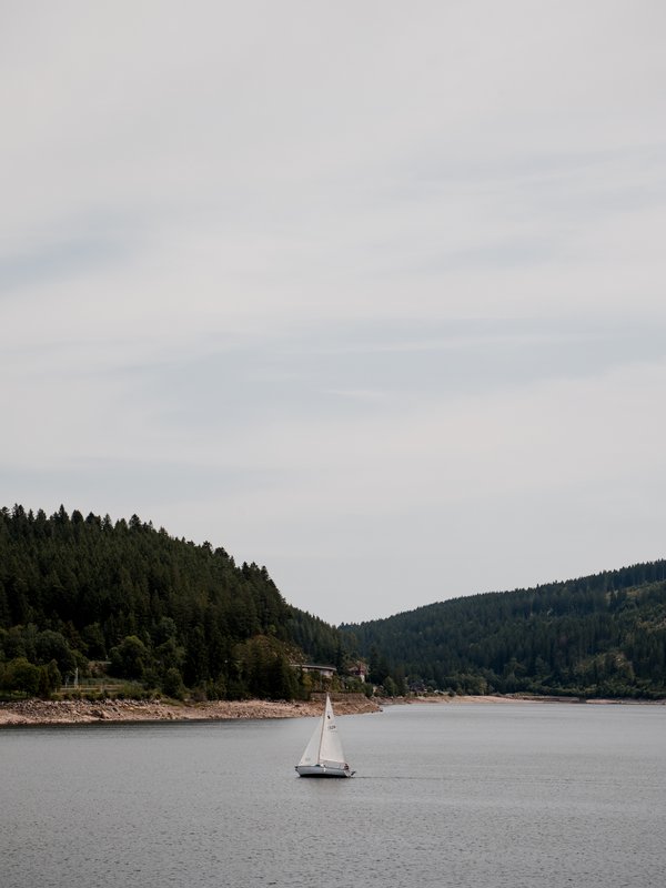 Boot auf Schluchsee umgeben von Wald