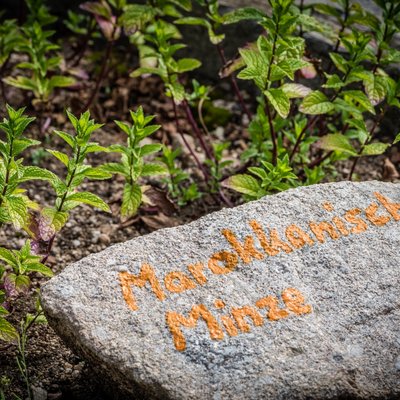 Ein beschrifteter Stein markiert den Bereich für Wildkräuter im Garten des Hotels Vier Jahreszeiten.