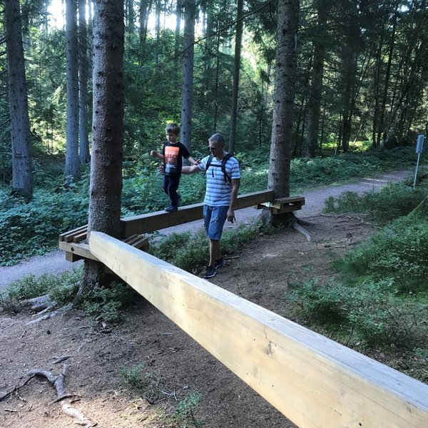 Balancierbalken und Geschicklichkeitselemente aus Naturholz im Waldpark Schlüwana.